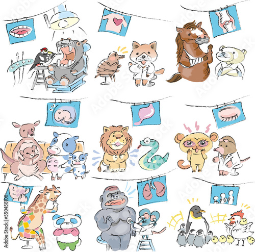 診療科別・標榜科：医師の仕事（動物キャラクター）