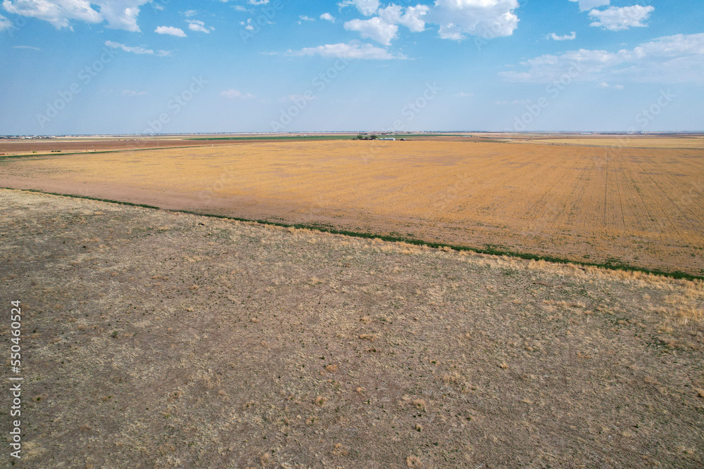 Grasslands of the Texas Panhandle, just outside Amarillo 4
