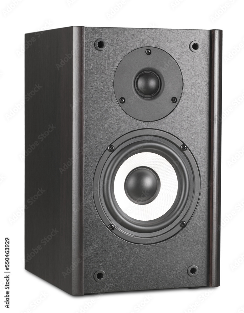 Obraz premium Speaker