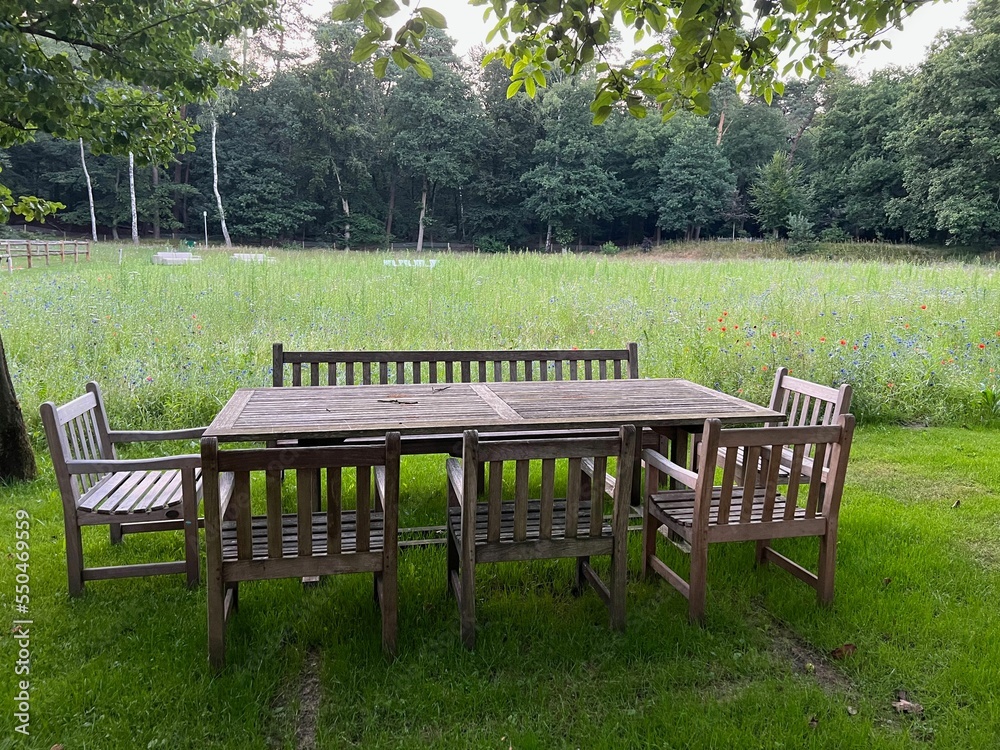 Wooden table with bench and chairs in garden. Landscape design Wooden table with bench and chairs in garden. Landscape design