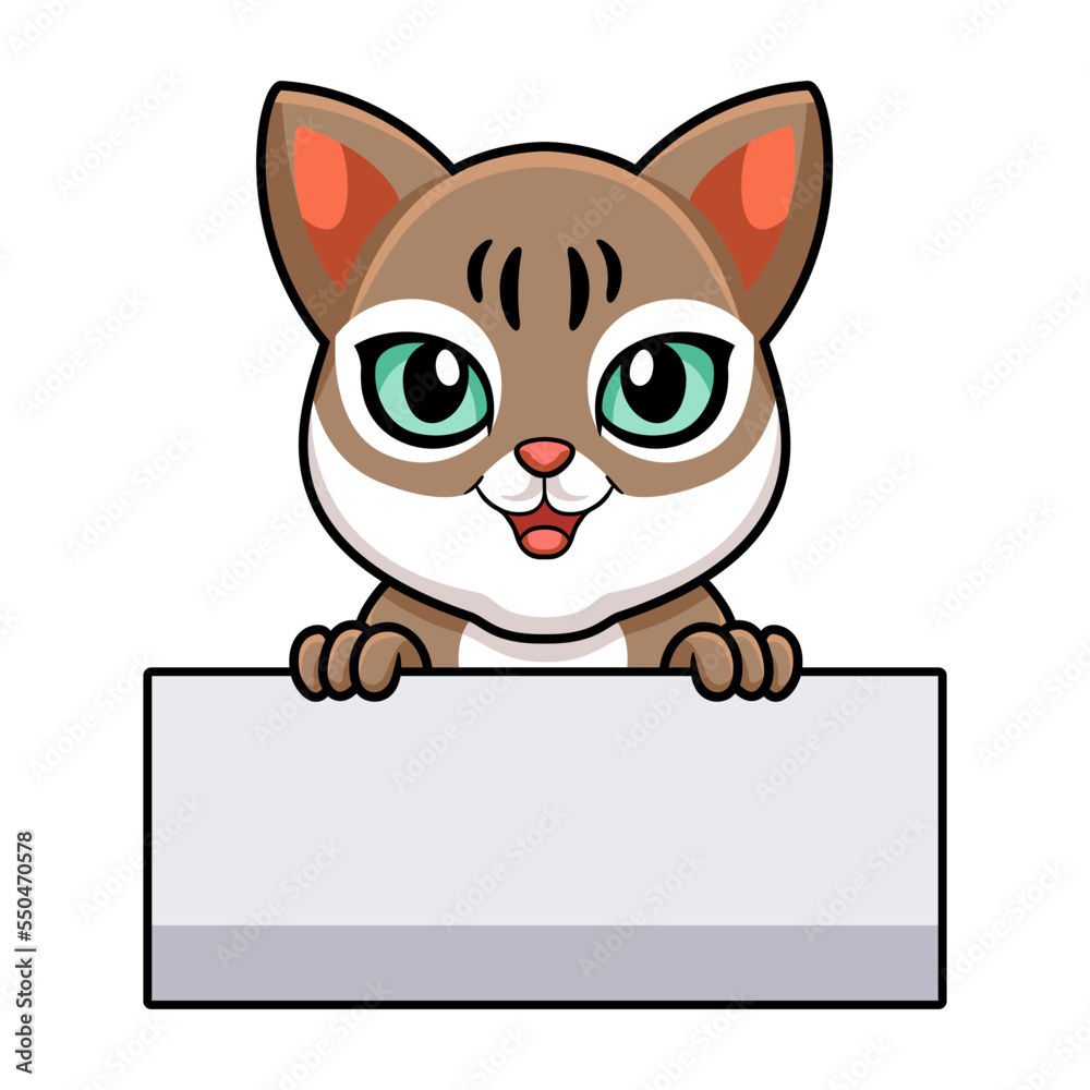 Obraz premium Cute singapura cat cartoon holding blank sign