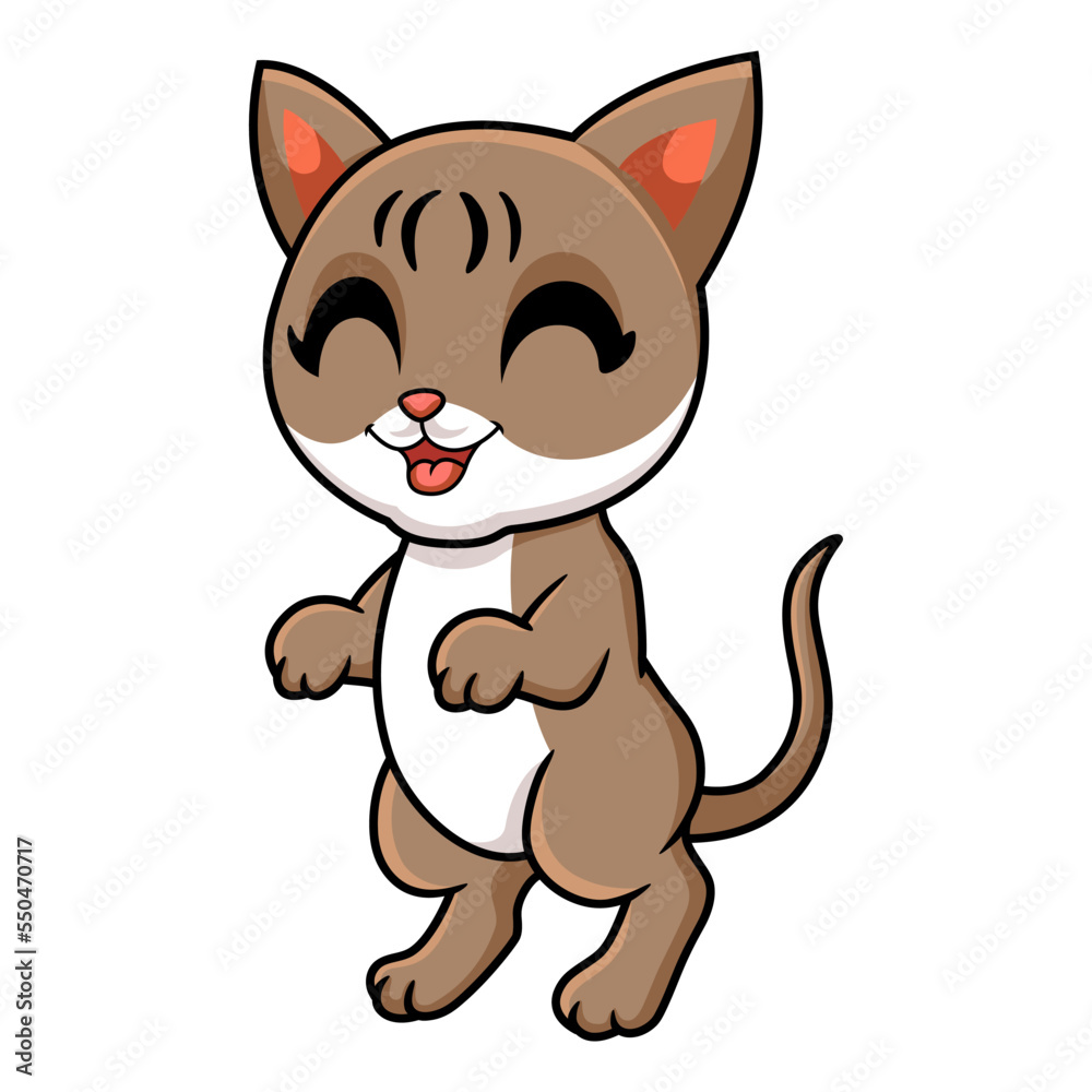 Cute singapura cat cartoon standing Cute singapura cat cartoon standing