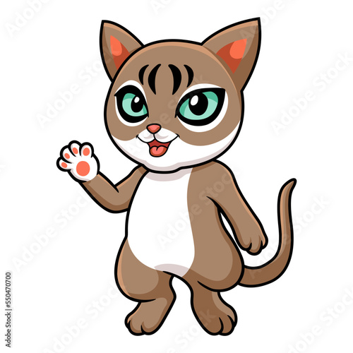 Cute singapura cat cartoon waving hand