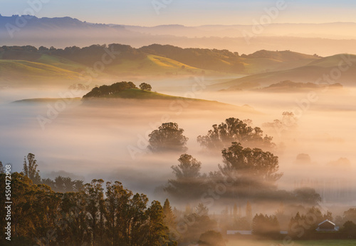 A foggy winter morning in Marin and Sonoma Counties, near Petaluma, California. photo