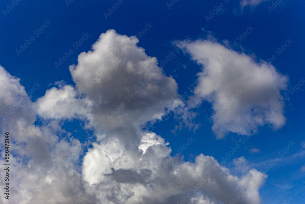 Fototapeta premium blue sky with clouds