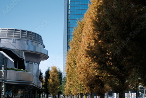 building in the city