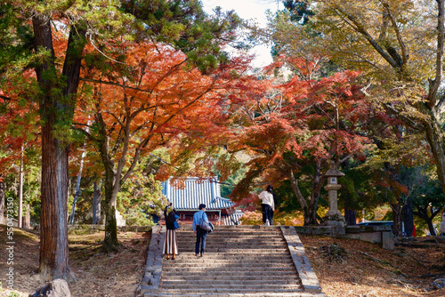 walk in the park