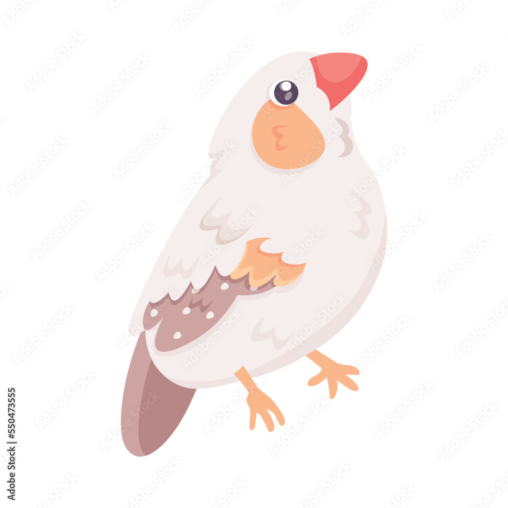 Obraz premium Isolated cute bird icon Animal Vector