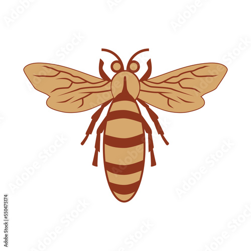 Bee Illustration