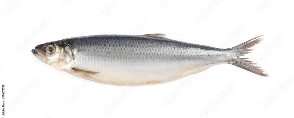 Whole delicious salted herring isolated on white, top view Whole delicious salted herring isolated on white, top view