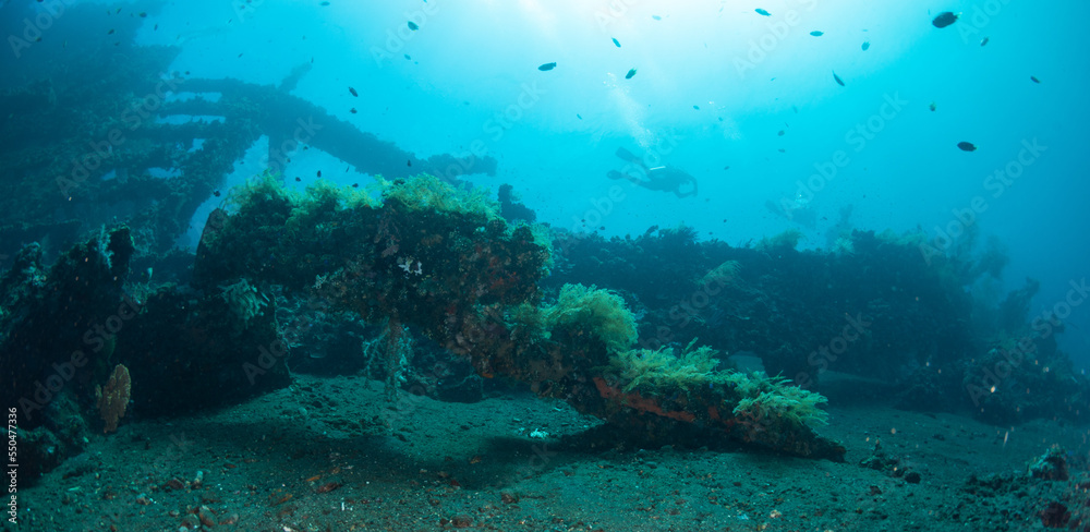 Fototapeta premium Scuba diver swimming over the shipwreck