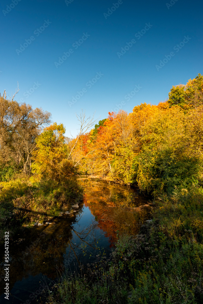 Thames river in London Ontario bending a colourful tree lined corner in the fall 