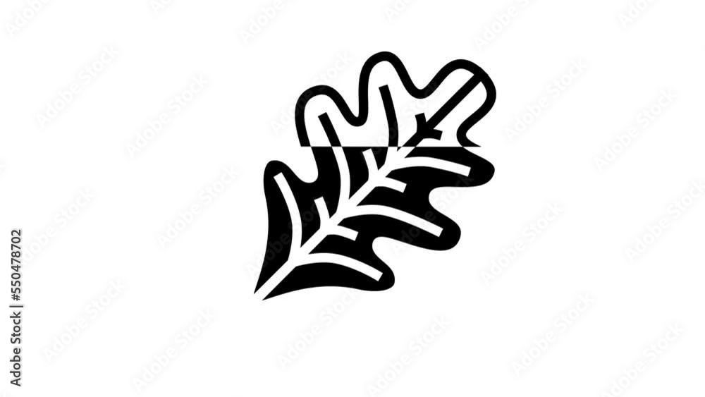 oak leaf line icon animation oak leaf line icon animation