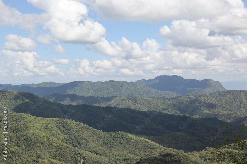 Obraz premium landscape with sky