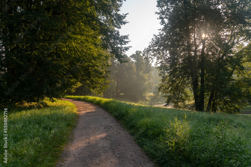 View of the alley in Pavlovsky Park on a sunny foggy summer morning, Pavlovsk, St. Petersburg, Russia