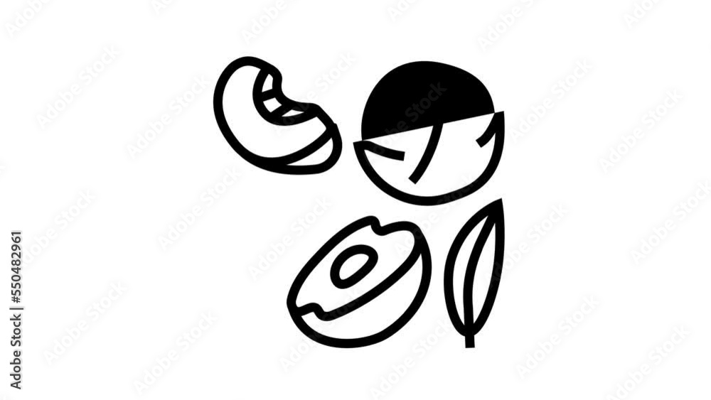 juicy peach cut line icon animation juicy peach cut line icon animation