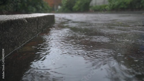 Puddle on a rainy day, low angle shot.