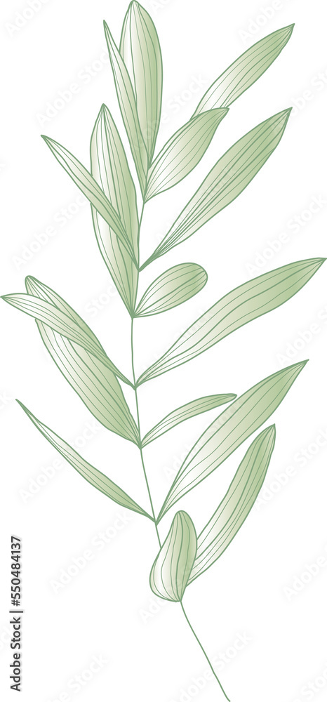 Obraz premium Decorative branch with leaves