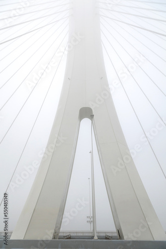 Fototapeta Naklejka Na Ścianę i Meble -  The bridge was shrouded in fog