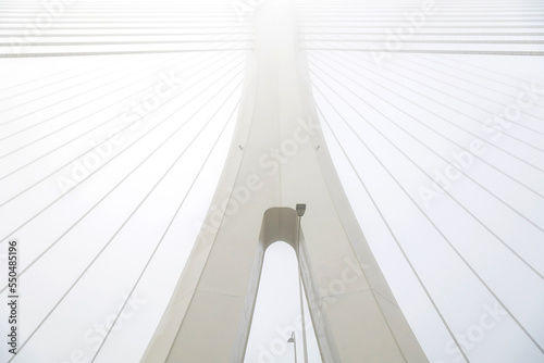 Fototapeta Naklejka Na Ścianę i Meble -  The bridge was shrouded in fog