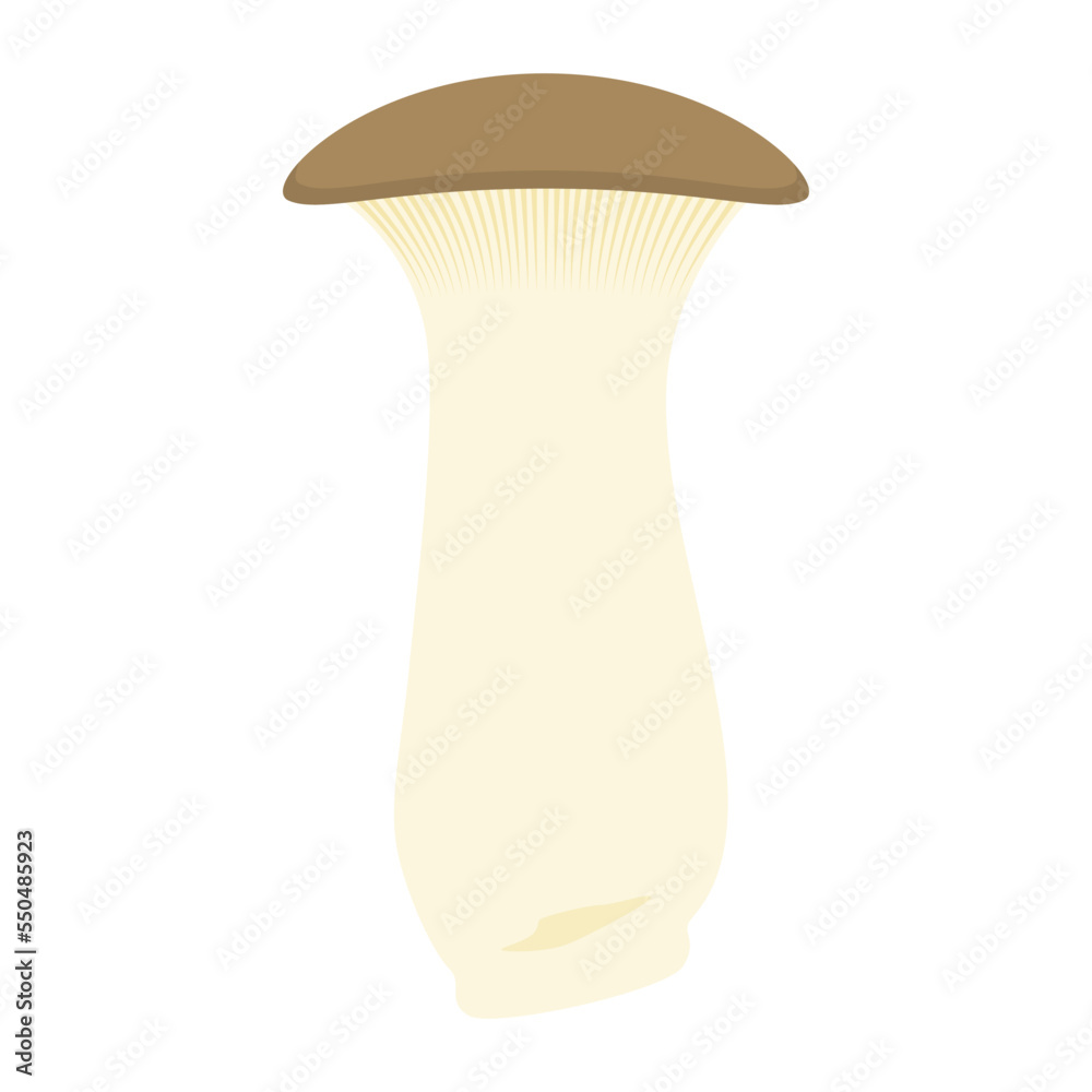 エリンギのイラスト