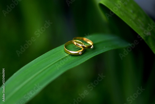 ring on the leaves