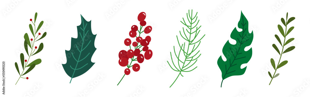 Fototapeta premium Set of winter leaf and berries illustration for design element. Vintage floral hand drawn ornament for Christmas design