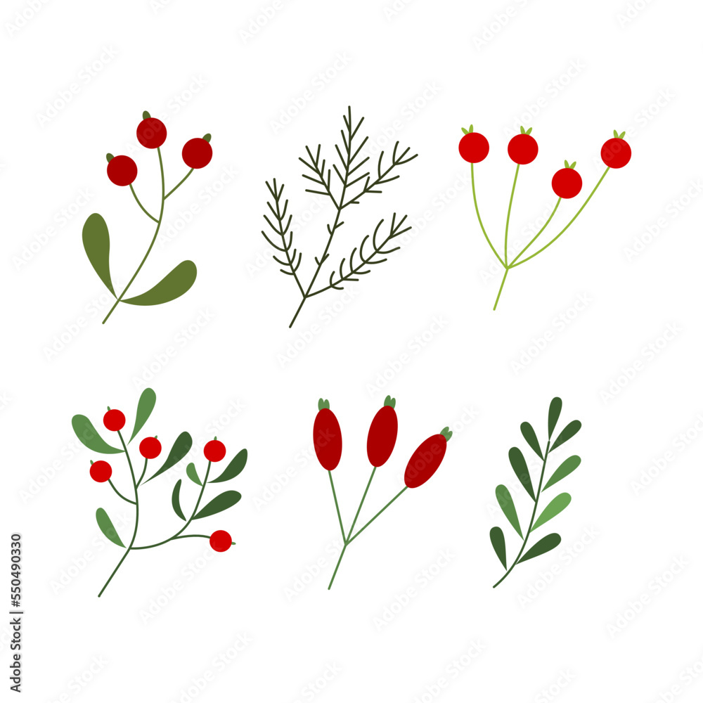 Set of winter leaf and berries illustration for design element. Vintage floral hand drawn ornament for Christmas design
