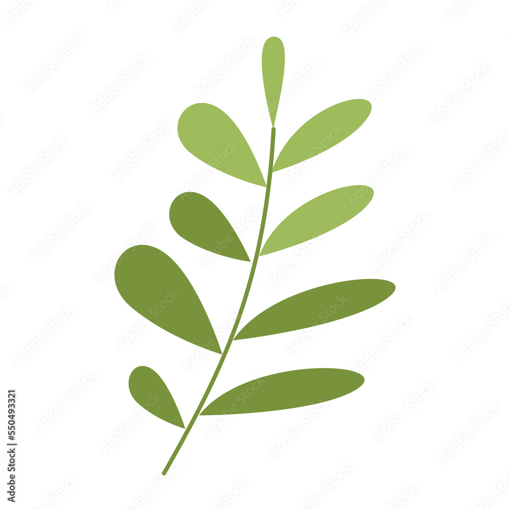 Ash leaf illustration for Christmas ornament Ash leaf illustration for Christmas ornament