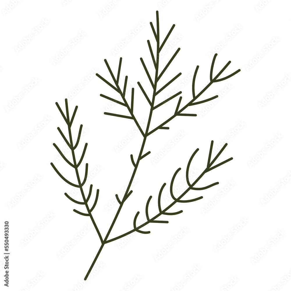 Pine leaf illustration for Christmas ornament Pine leaf illustration for Christmas ornament