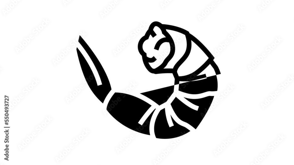 shrimp seafood line icon animation shrimp seafood line icon animation