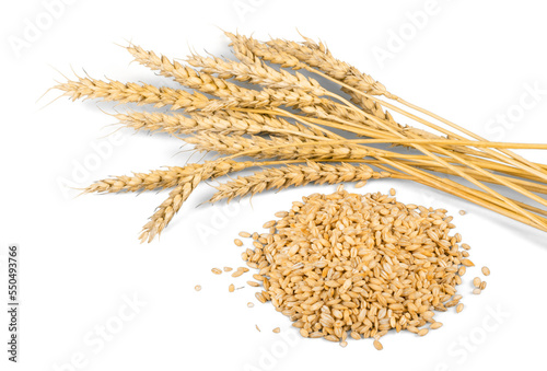 Wheat Ears and Seeds