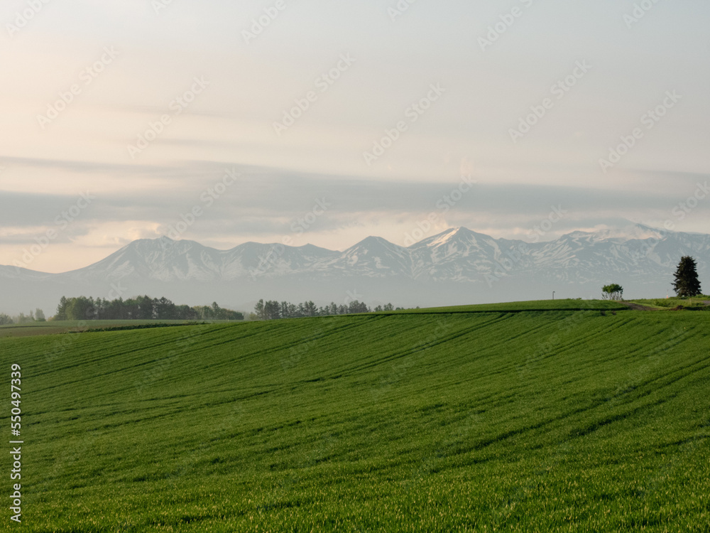 Obraz premium Spring meadow and Tokachi mountain range