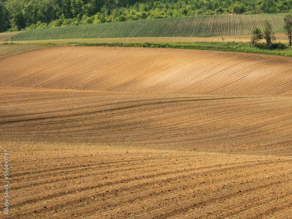 Ridge hills and spring fields Ridge hills and spring fields