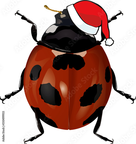 xmas Insect テントウムシ ladybug