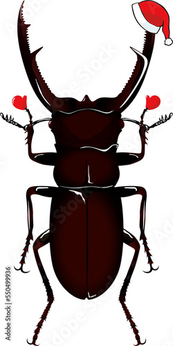 xmas Insect Hexarthrius mandibularis マンディブラリスフタマタクワガタ