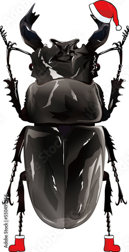 xmas Insect Mesotopus tarandus タランドゥスオオツヤクワガタ