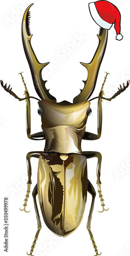 xmas Insect Cyclommatus metallifer メタリフェルホソアカクワガタ