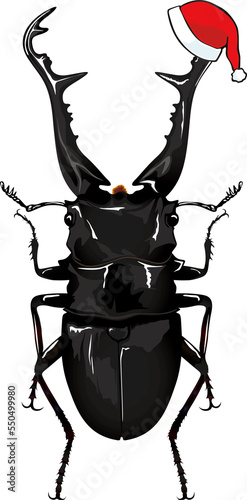 xmas Insect Prosopocoilus Giraffa ギラファノコギリクワガタ