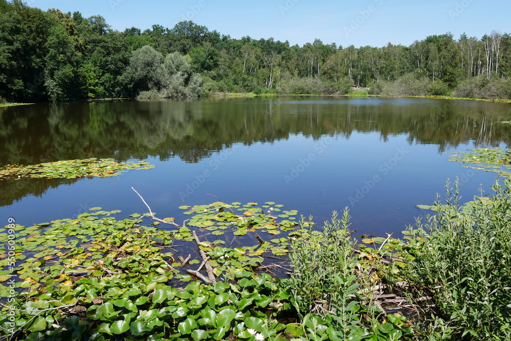 Fotografia Teufelssee in Berlin