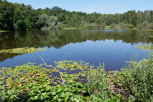 Canvas Print Teufelssee in Berlin
