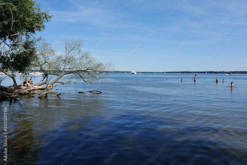 Εκτύπωση καμβά Müggelsee in Berlin