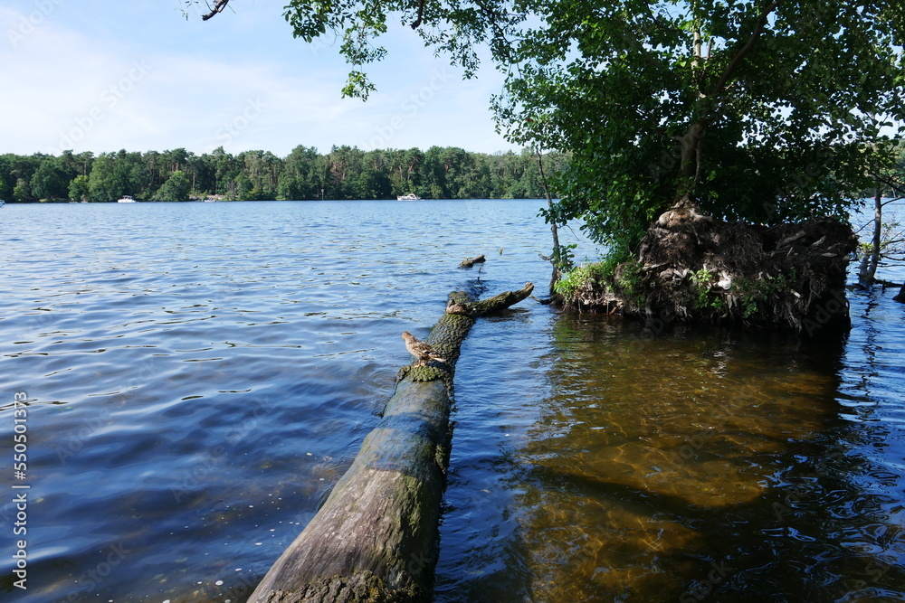 Langer See Dahme