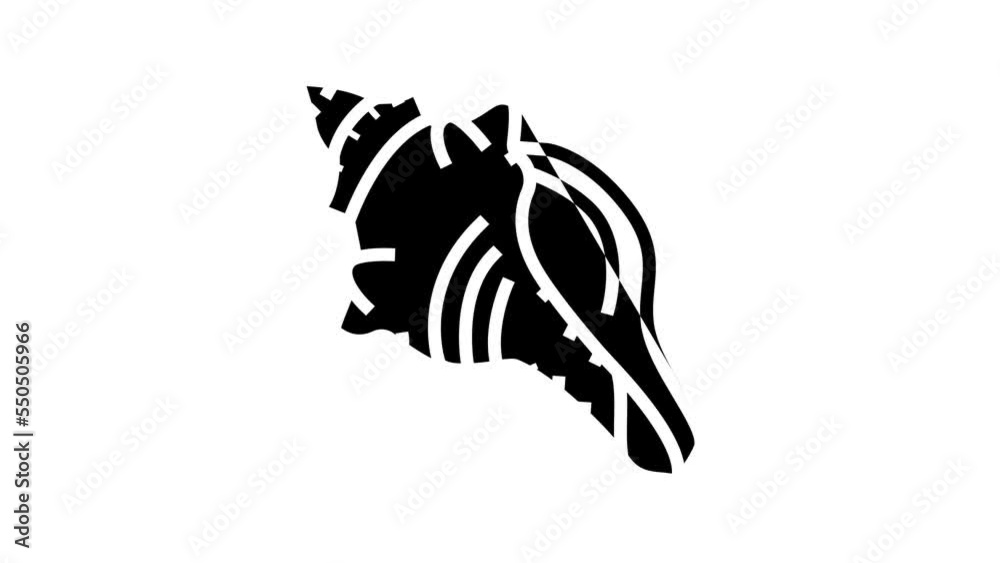 conch sea shell beach line icon animation