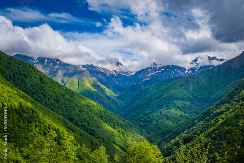 View on the Lez river valley with snow covered peaks in the background on a beautiful summer day in the French Pyrenees mountains range © Pernelle Voyage