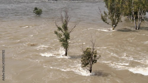 Muddy flood water submerges trees as fast river overruns its banks photo
