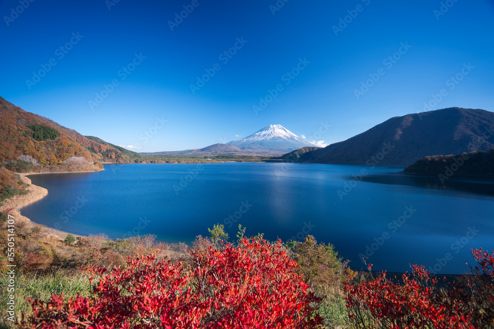 本栖湖に紅葉したツツジと冠雪した富士山