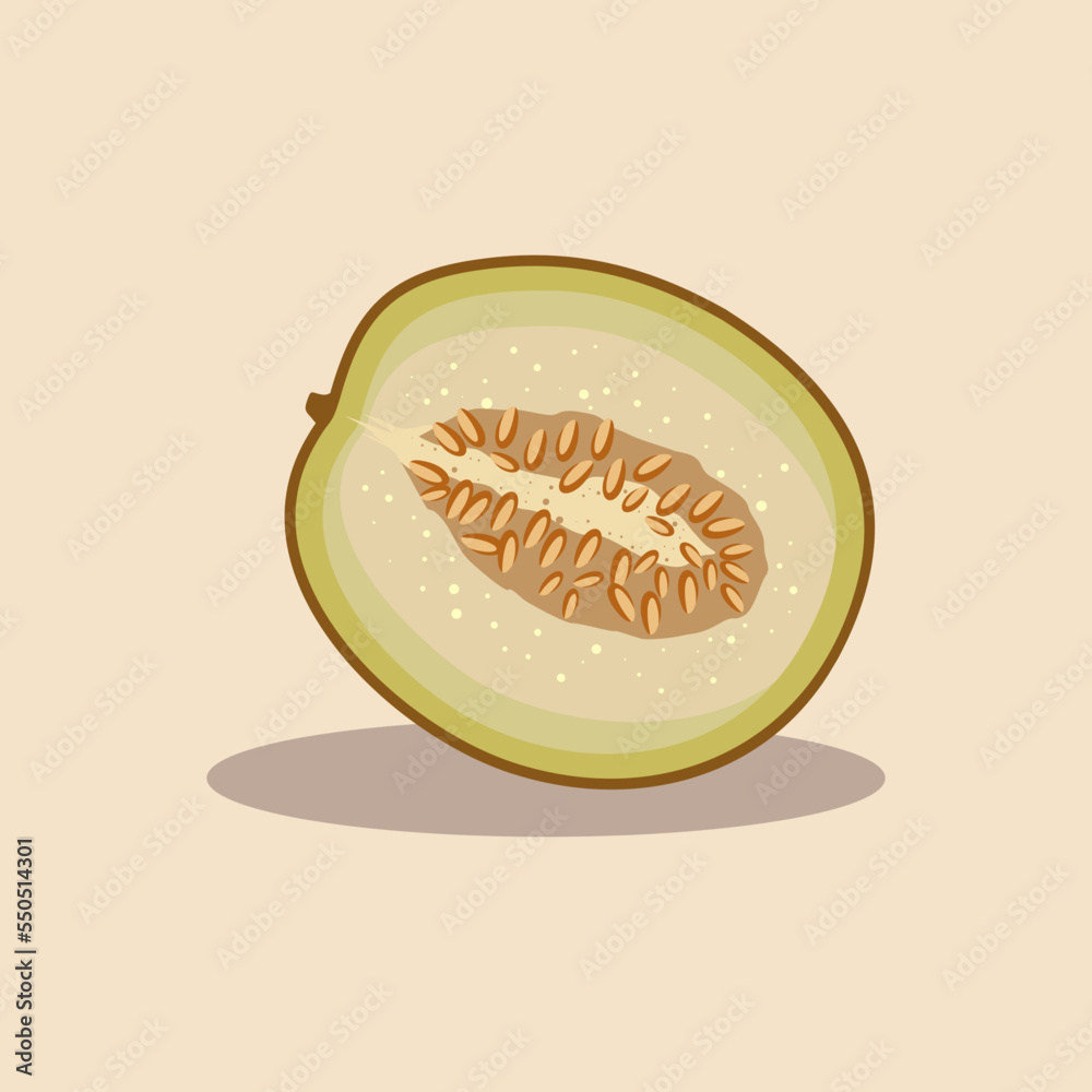 Fresh cut melon fruit hand drawn cartoon illustration