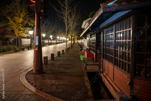 山陰の小京都　秋の津和野　島根県