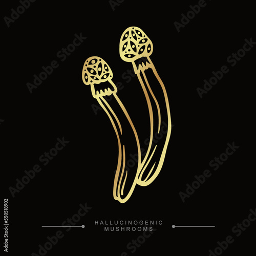 Hand drawn toadstool concept. A group of golden toxic magical hallucinogenic mushrooms. Golden drawing sticker of psilocybin mushrooms. Vector illustration